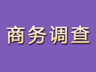 邹城商务调查